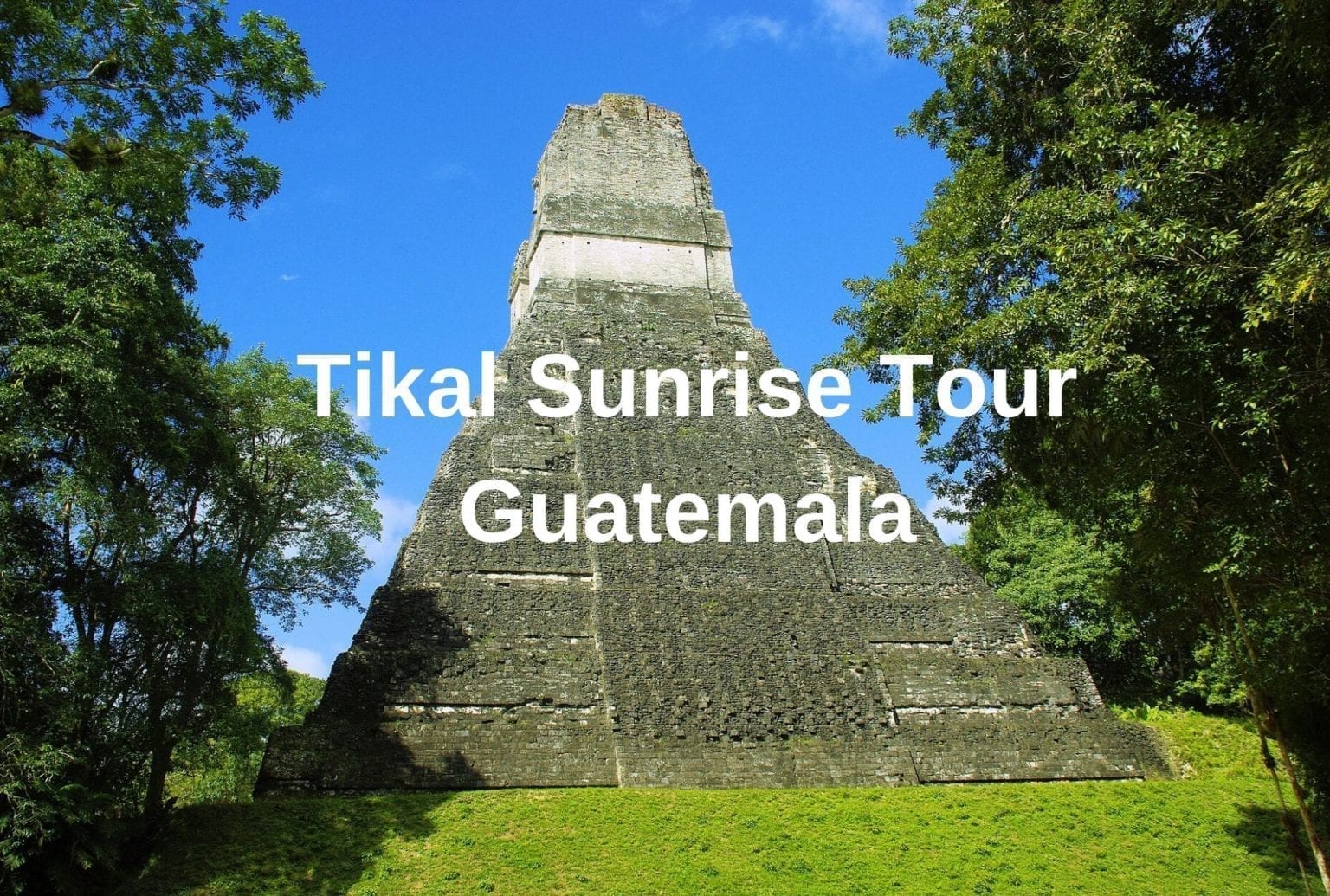 Tikal Sunrise Tour in Guatemala Review [Updated 2023] - To Travel Too