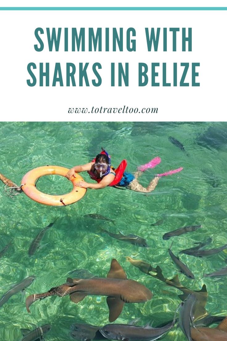 Safe to swim in belize? is it 