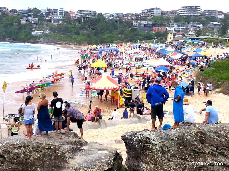 Freshwater Surf Carnival near Manly