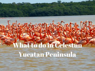 Celestun Yucatan Peninsula