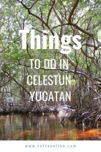 What to do in Celestun Mexico