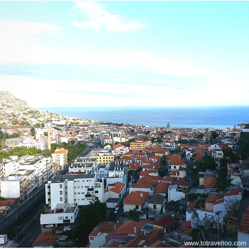 Yellow Bus Tour Madeira