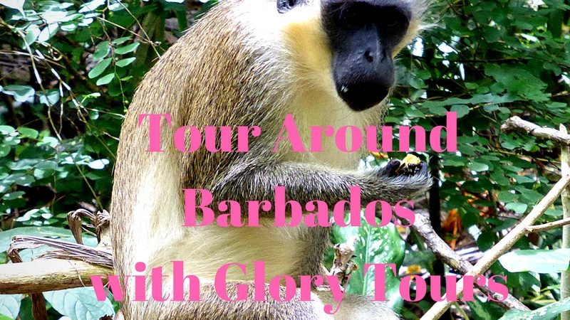 Tour Around Barbados with Glory Tours
