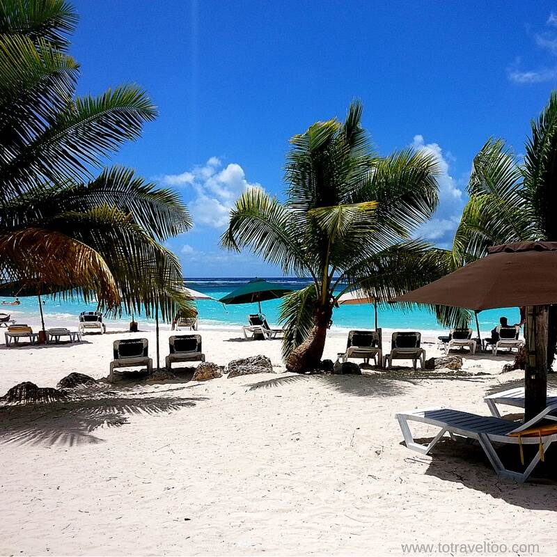 What to do in Barbados