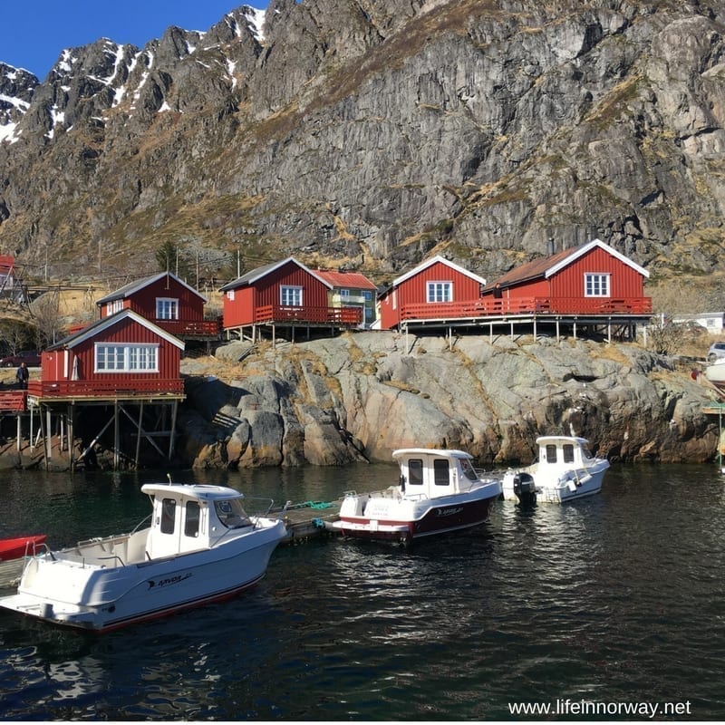 Why You Should Visit Northern Norway
