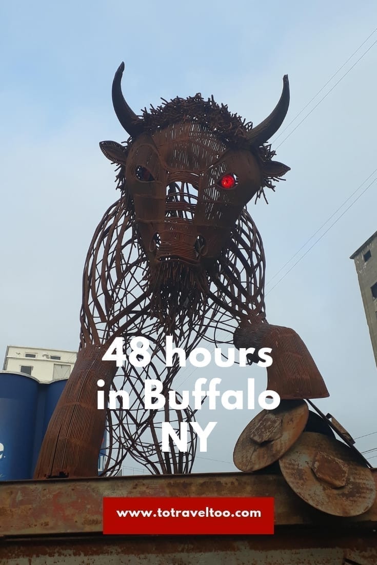 Buffalo City