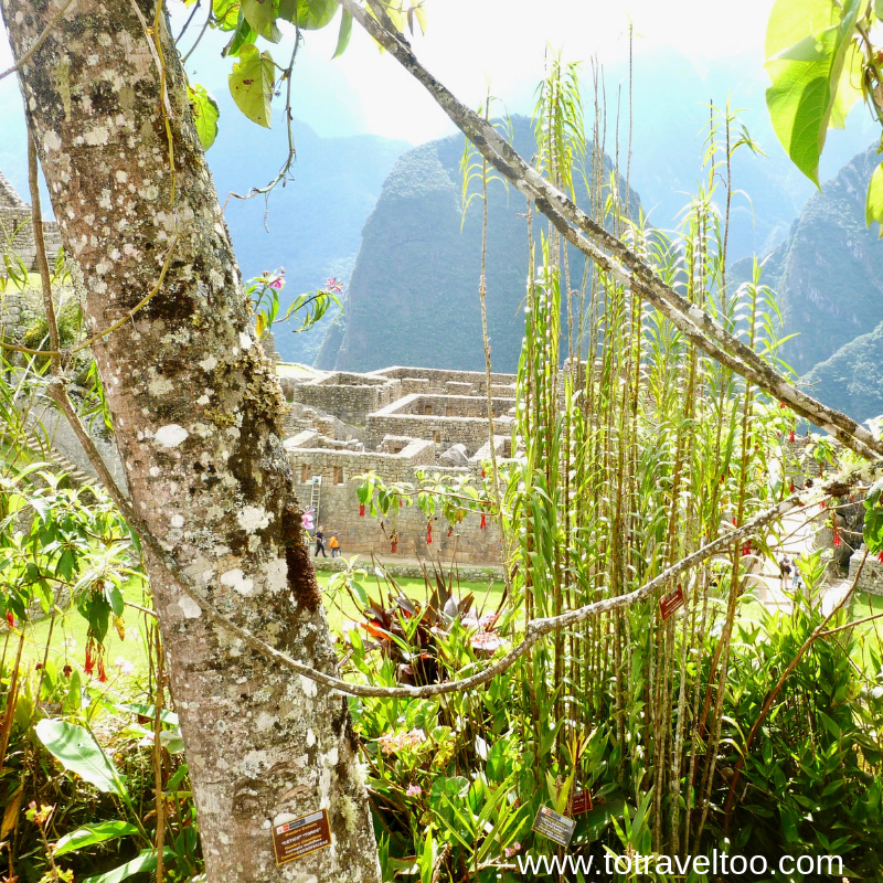 Inca Trail to Machu Picchu