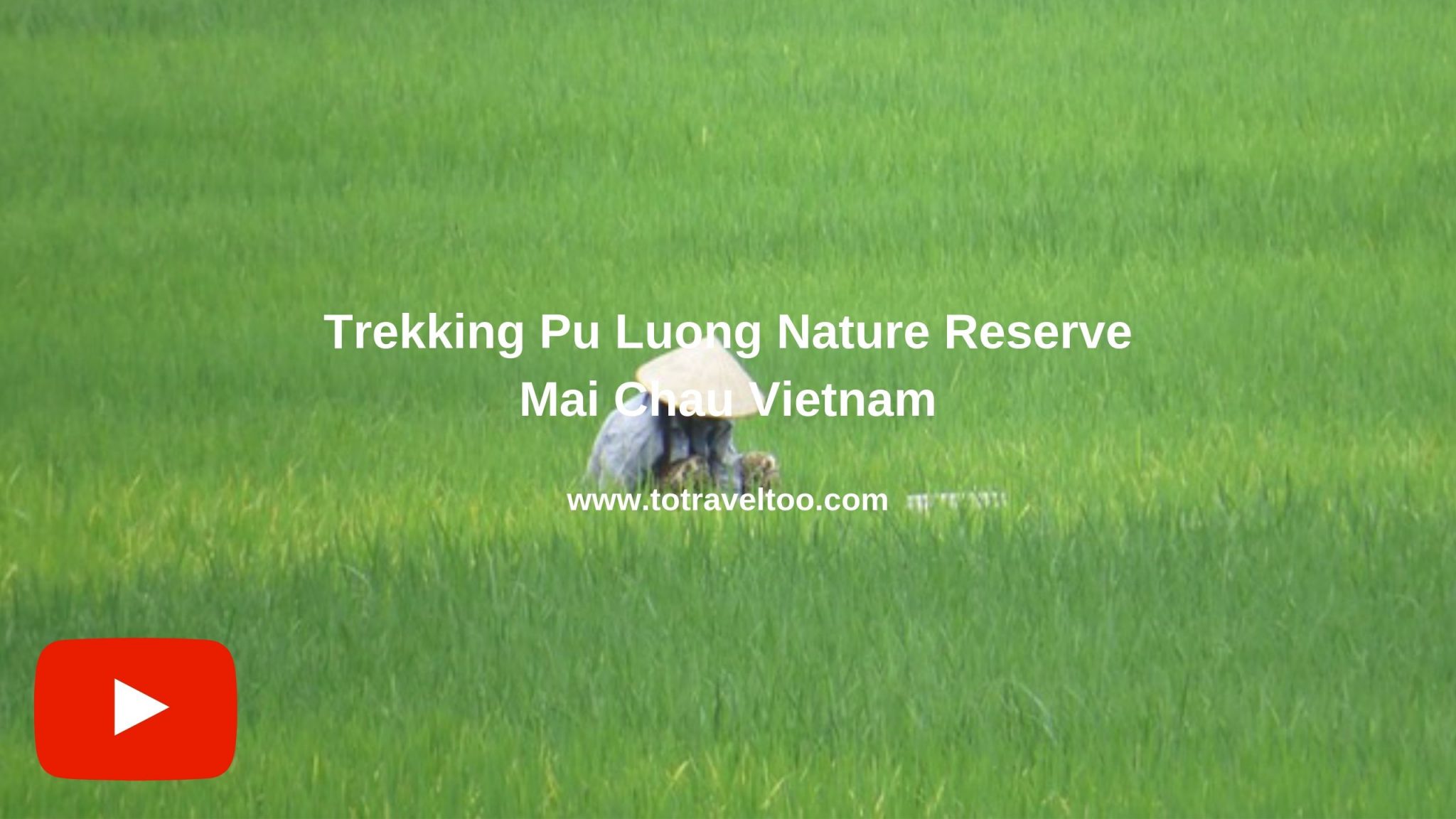 Guide to Mai Chau Vietnam Trekking in Mai Chau