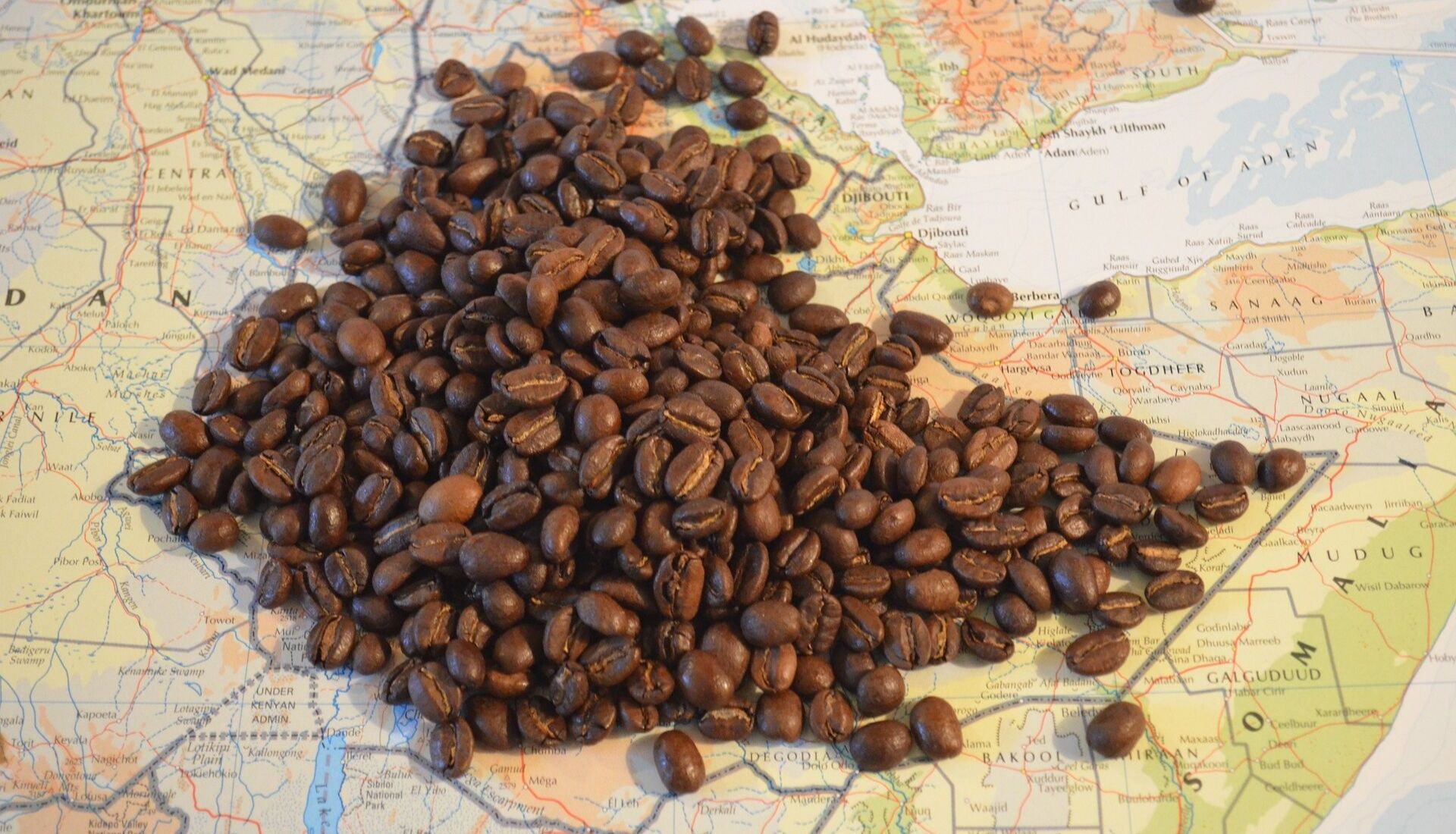 Coffee in Ethiopia