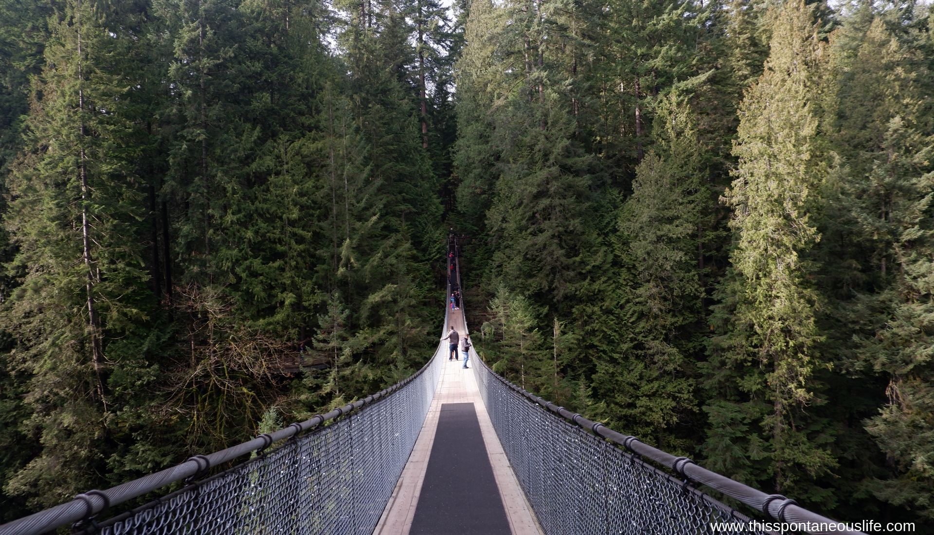 Capilano Suspension Bridge