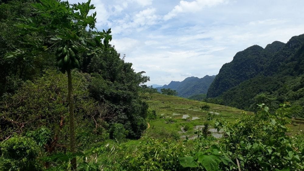 Mai Chau