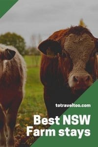 Best NSW Farm Stays
