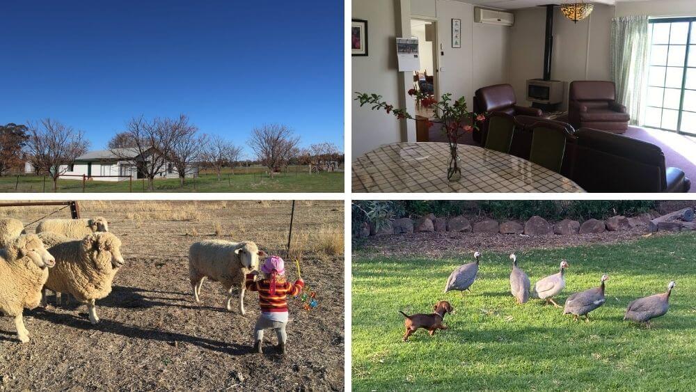 Dubbo Farm Stay near the Zoo