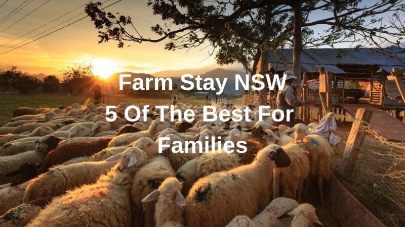 Farmstay NSW