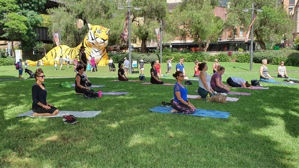 Yoga in the Park on weekends in the Rocks