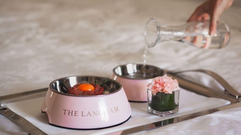 Pampered pets at the Langham Hotel