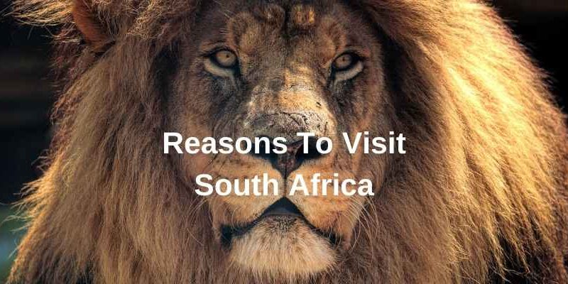 Reasons to visit South Africa