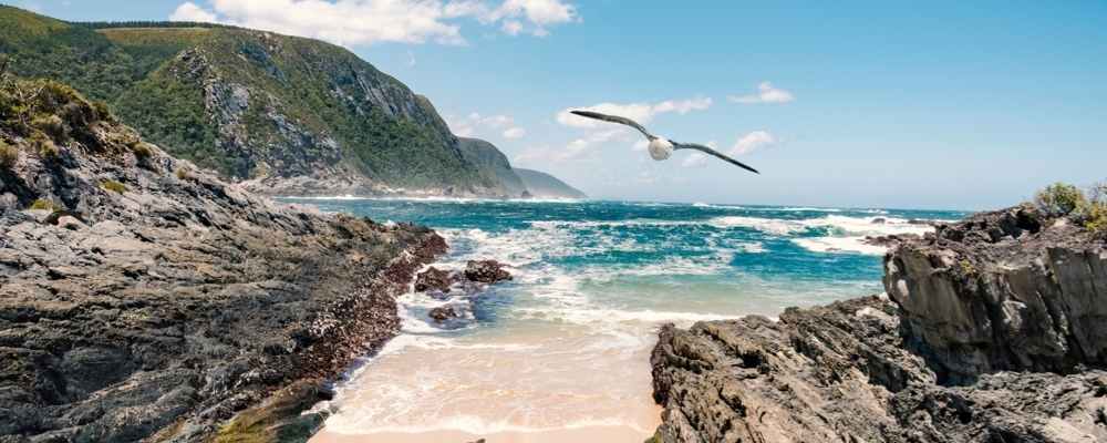 Garden Route South Africa