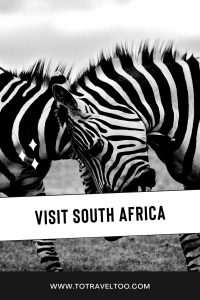 Pinterest - South Africa