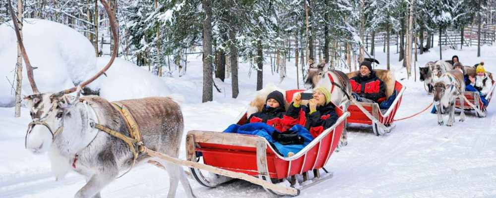 Sleigh Ride in Rovaniemi