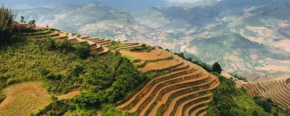 Rice terraces of Mu Cang Chai