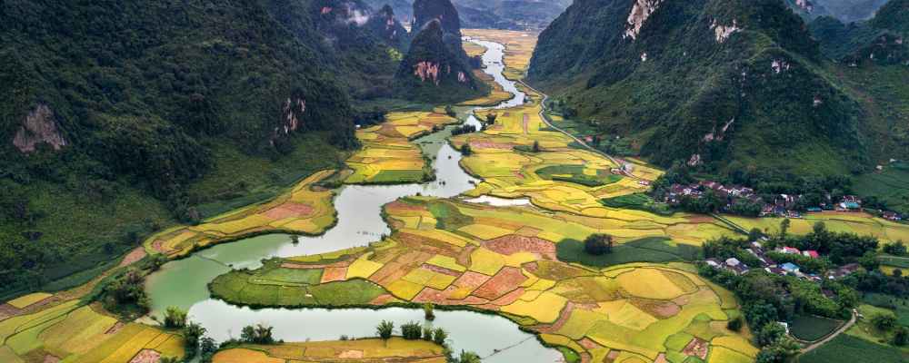 Ricefields of Northern Vietnam