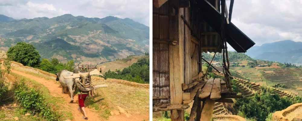 Farmer at Work and Rice Container Hut