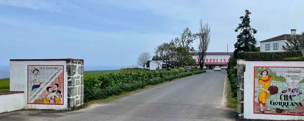 Entrance to Cha Gorreana Tea Factory